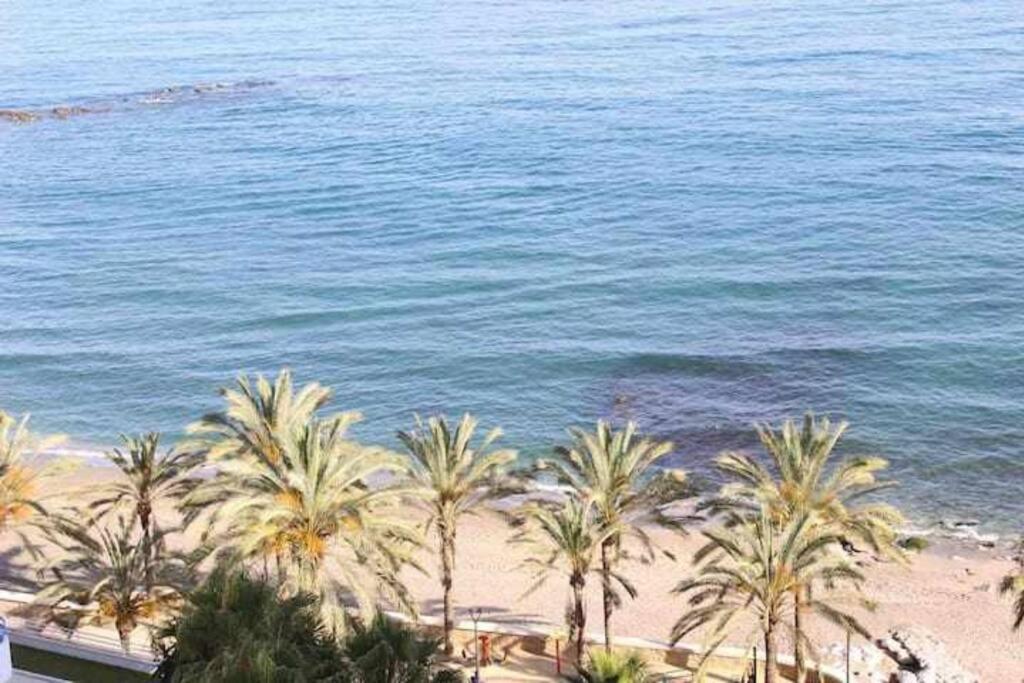 Large Modern Beach Front Apartment, Rooftop Pool!! Marbella Eksteriør billede